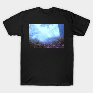 Foggy Woods Photograph T-Shirt